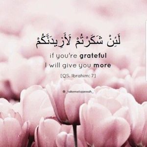 Meet your Posher, Abuzza